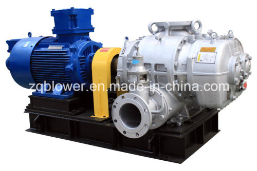 Special Gas/Chemical Gas/Natural Gas Roots Blower (RRD-100)