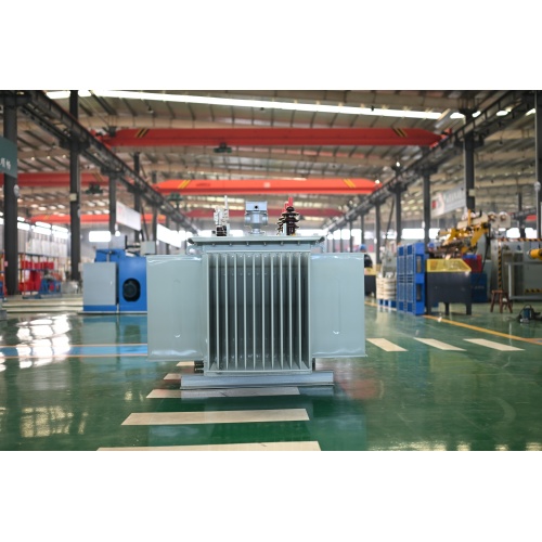 S20-M-1000 10KV Oil Immersed Power Transformer
