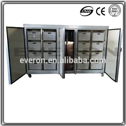 Mung Bean Sprouts Machine/soya bean sprout machine for sale