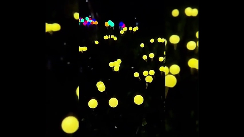 Firefly lamp solar garden lamp