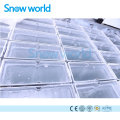 Dunia Salji 10T Merangkumi Blok Ice Machine