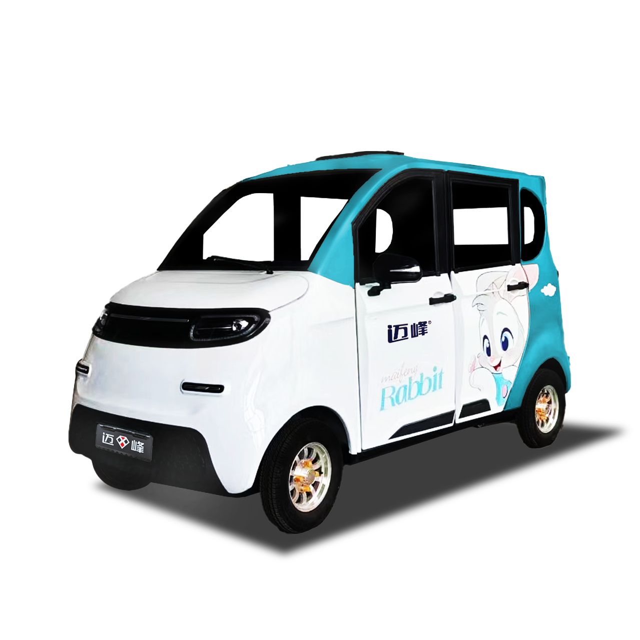 1000w small electric car