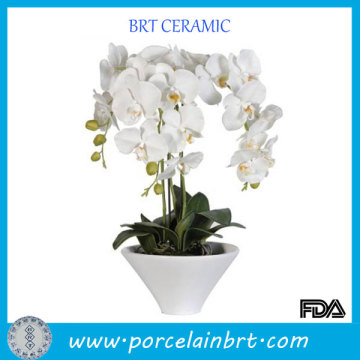 White Ceramic Phalaenopsis Orchid Plant Pot