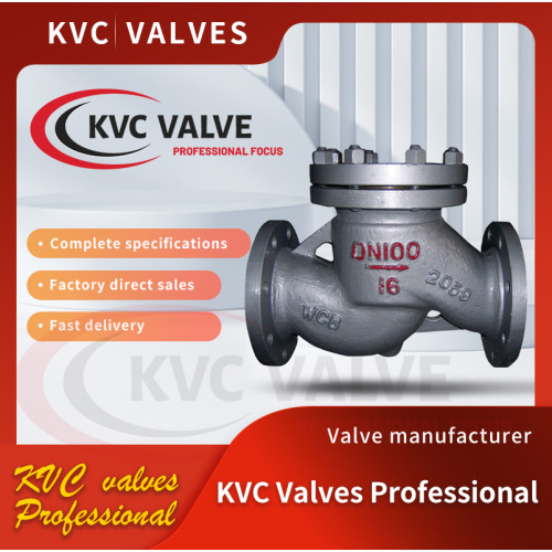 Ball Check Valve DN15-DN300 Cast Steel Lift Check Valve Factory