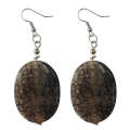 Natural Gemstone Agate Earring