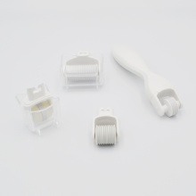 Replaceable Face 4 in 1 Derma Roller Kit