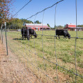 Recinzione del campo con giunto a cerniera