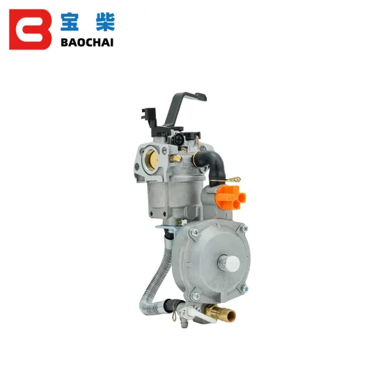 168F 170F Carburetor Kit Assy for Huayi LPG 2KW/3KW/6.5HP Dual Fuel Oil Generator