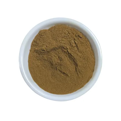 siberian chaga mushroom extract 30% Polysaccharide powder