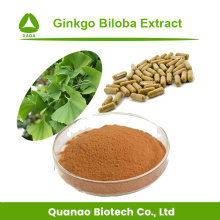 Ginkgo Biloba Extract Bulk Organic Pure Natural Powder