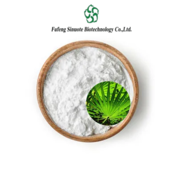 Saw Palmetto Extract Powder