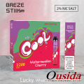 Breze Stiik Mega 2200puffs Disposable Vape