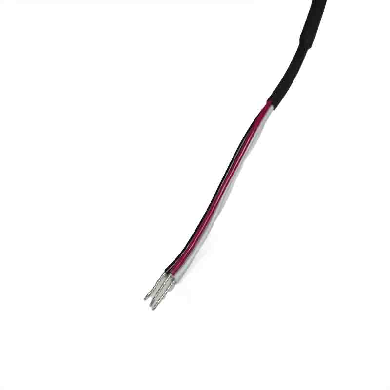 APTIV DELPHI plug pair