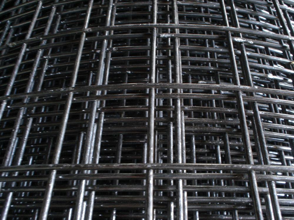 Galvanized welded wire mesh electro and hot dip