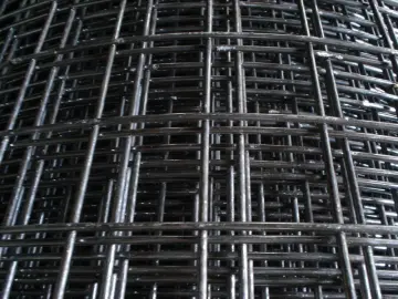 Galvanized welded wire mesh electro and hot dip