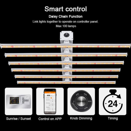 Best 6X6 Led Plant Ligting Grow Light