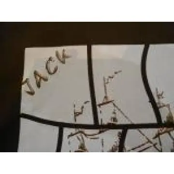 Men\'s Polo Shirts(EVE-GM-7)