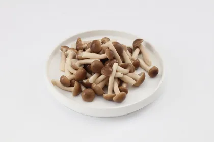 company Price white beech mushroom