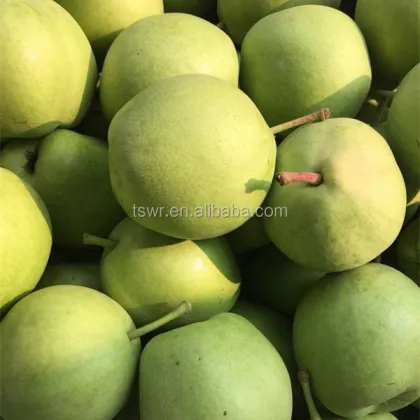 New season green shandong pear  fresh crown pear ya pear