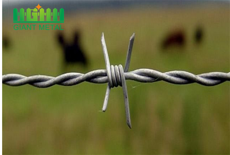 Low Carbon Steel Security Fence Barbed wire