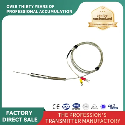Needle-shaped special thermal resistance lead