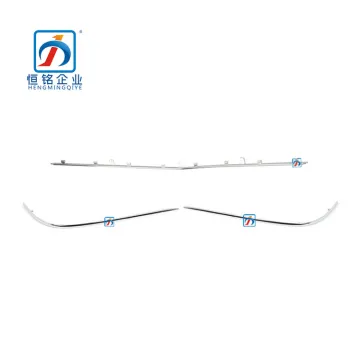 Front Bumper Chrome Trim for Mercedes-Benz S-Class W221 S63 (2218850021)