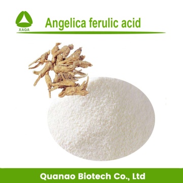 Chinese Angelica Root Extract 98% Ferulic Acid Powder