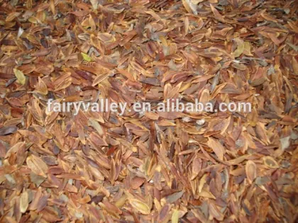 2014 high quality lilac tree seeds for growing