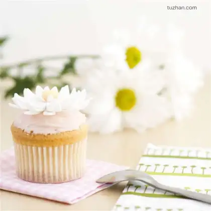 Standard Silicon baking cup