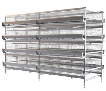 H-Type Broiler Feeding Equipment | 1.25m x 1.0m x 0.42m Chicken Cages