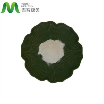 Hot Selling Picrophylline Powder CAS 2309-49-1