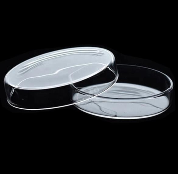 High Quality Transparent Glass Petri Dishes 80mm