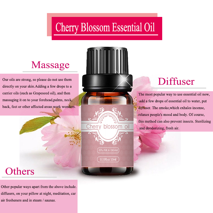 Bulk Price Cherry Blossoms Oil 100% pure natural