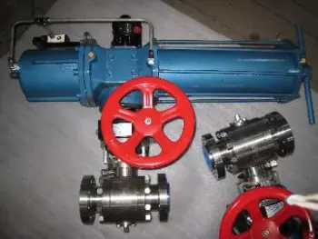 Forged Steel Trunnion Ball Valve