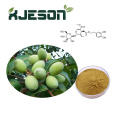 Natural Olive Leaf Extract Oleuropein