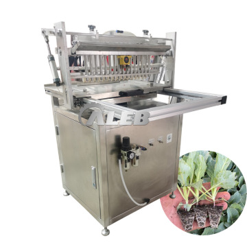 Fornitura di fabbrica all'ingrosso: macchine per semina e piantagioni per verdure, tabacco, piselli, lattuga e piantine