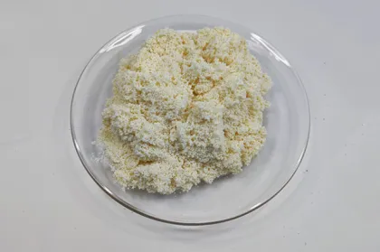 Anion Ion Exchange Resin for Biodiesel Dry Cleaning