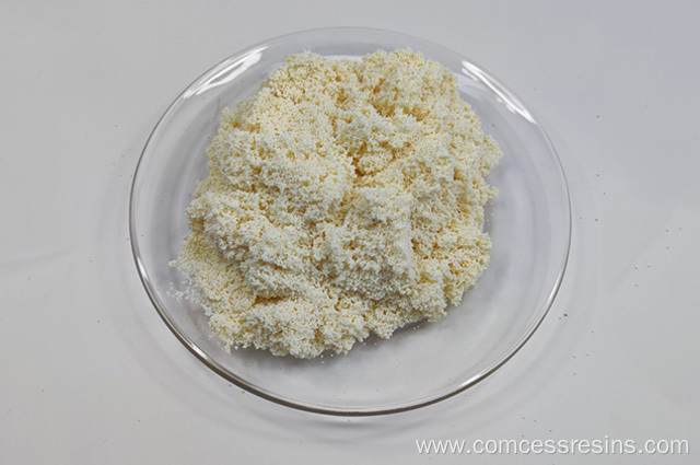 Macroporous Type Strongly Basic Styrene Type Anion Resin