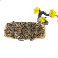 Wholesale Cheap Price Caramel Roasted Sunflower Seeds