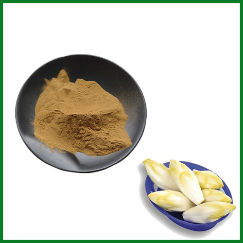 Chicory Root Extract Powder