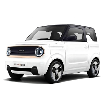2024 Geely Panda Mini: New Energy Electric Car in Stock at Competitive Prices