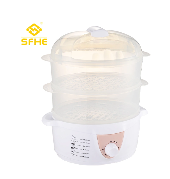Food Steamer with 2 Layers