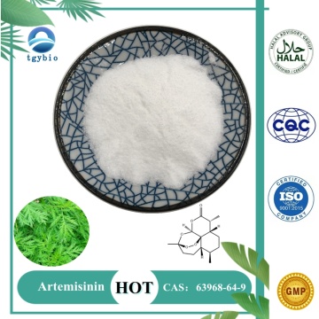 Bekalan 100% Artemisia Natural Annua Extract 99% Artemisinin