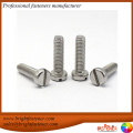 DIN84 Slotted Cheese Head Screws