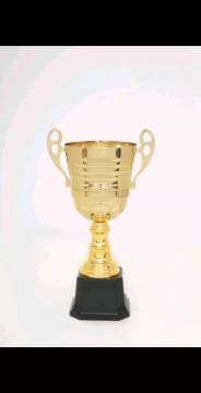Metal trophy