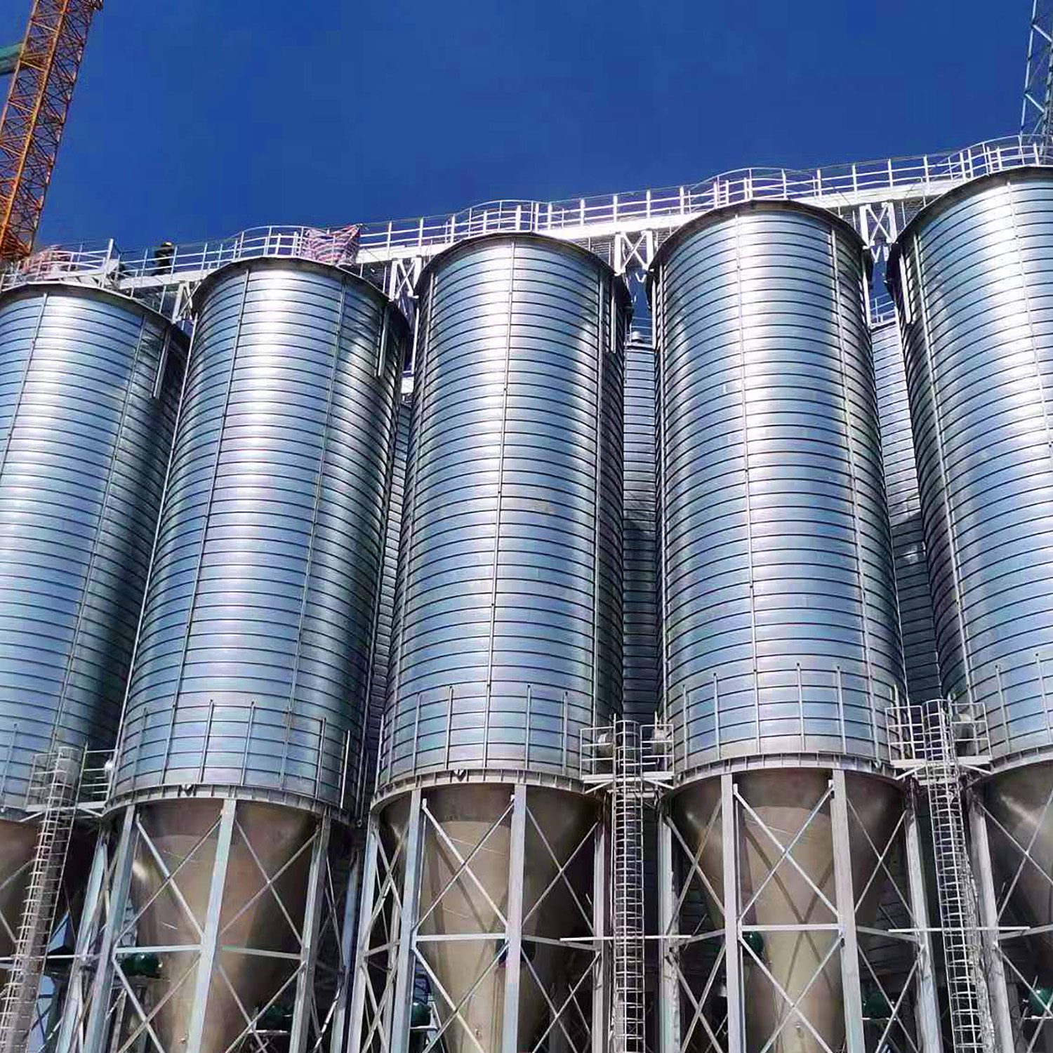 Pet Food Finished Goods Warehouse