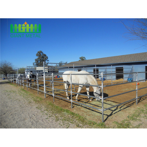 Useful animals of horse fence