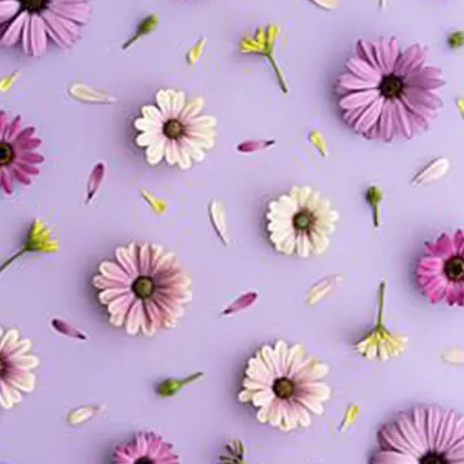 Edible Rice Wafer Paper for Cakes