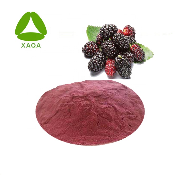 Freeze Dried Mulberry Fruit Extract Juice Powder