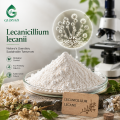 Lecanicillium Lecanii مكون فطري ممرض للحشرات